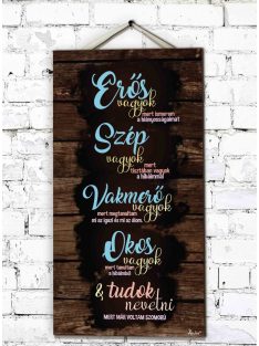 Fali Dekor Tábla 46,5 cm x 25 cm x 0,5 cm - Erős vagyok