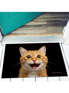 Vicces lábtörlő - Cica fej