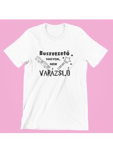  Buszvezető vagyok, nem varázsló férfi póló