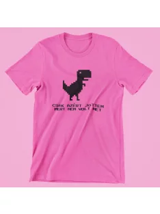 Csak azért jöttem, mert nem volt net női póló