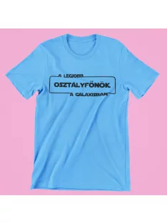 A legjobb osztályfőnök a galaxisban férfi póló