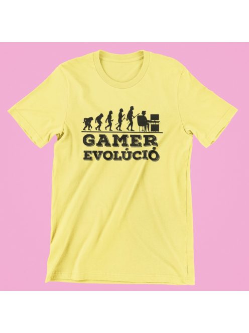Gamer evolúció PC női póló