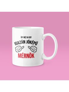 Így néz ki egy igazán jóképű mérnök bögre