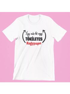  Így néz ki egy tökéletes nagypapa férfi póló