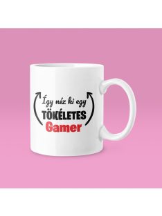 Így néz ki egy tökéletes gamer bögre