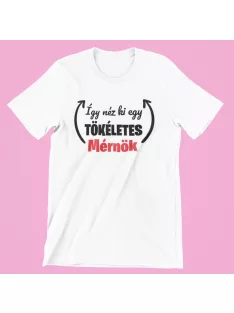 Így néz ki egy tökéletes mérnök női póló