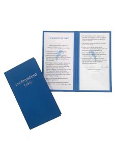 Legénybúcsú Eskü