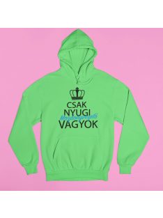 Csak nyugi, mozdonyvezető vagyok pulóver