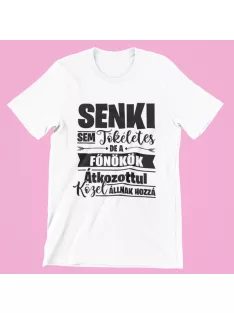   Senki sem tökéletes de a főnökök átkozottul közel állnak hozzá férfi póló