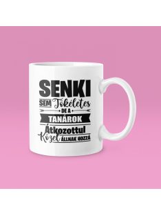   Senki sem tökéletes de a tanárok átkozottul közel állnak hozzá bögre