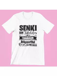   Senki sem tökéletes de a tanárok átkozottul közel állnak hozzá férfi póló