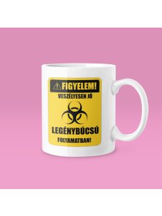   Figyelem! Veszélyesen jó legénybúcsú folyamatban! bögre